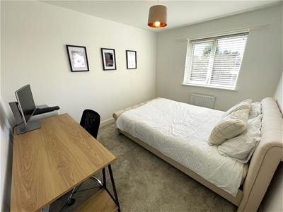 Picture 22